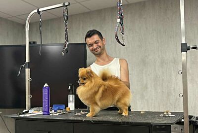 Pomeranian Coat Care Part 2: Professional & Creative Styling