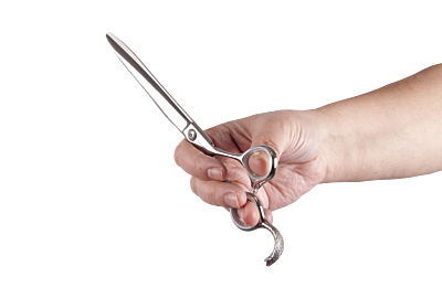 The correct way to hold grooming scissors
