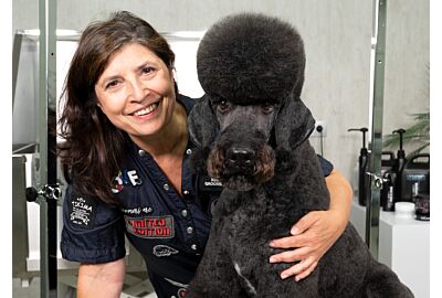Kitty Talks Dogs - Grooming Theo the Standard Poodle