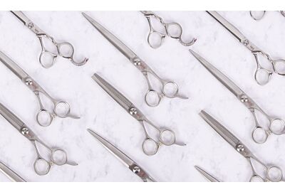 The different types of dog grooming scissors: straight scissors, curved scissors, thinning scissors, blenders and chunkers