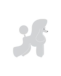K-Design Poodle Puppy Sticker Right Silver 10 cm
