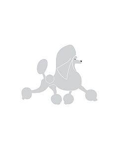 K-Design Poodle Running Sticker Right Silver 10 cm