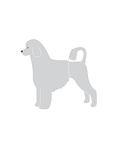 K-Design Portuguese Water Dog Lion Sticker Left Silver 25 cm