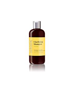 iGroom Clarifying Shampoo PineApple 473 ml