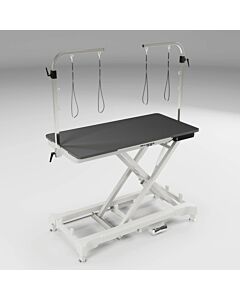 Waggz Step-Range XL 52” Electric Dog Grooming Table with Removable Tabletop