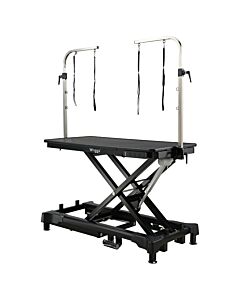 Waggz Step-Low Electric Dog Grooming Table