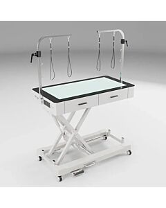 Waggz Roll-Bright LED Electric Dog Grooming Table with Drawers