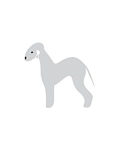 K-Design Bedlington Terrier Autocollant Gauche Argent 10 cm