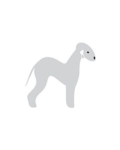 K-Design Bedlington Terrier Autocollant Droite Argent 10 cm