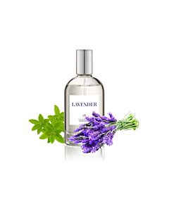iGroom Parfum Lavender 100 ml