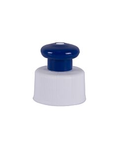 Push-Pull Top Mixing Bottle Blue