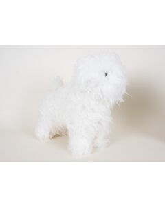 Bichon Poil Blanc pour Model Dog (sans model dog)