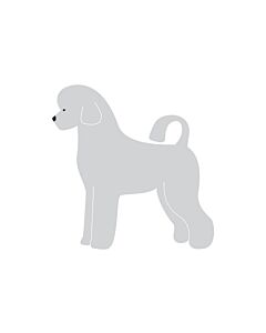 K-Design Portugese Waterhond Puppy Sticker Links Zilver 10 cm