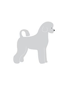K-Design Portugese Waterhond Puppy Sticker Rechts Zilver 10 cm