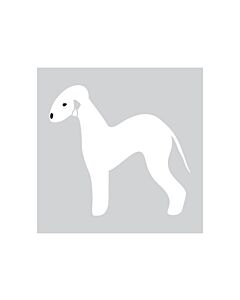 K-Design Bedlington Terrier Sticker Links Wit 10 cm