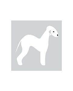K-Design Bedlington Terrier Sticker Rechts Wit 10 cm
