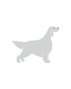 K-Design Setter Hond Sticker Rechts Zilver10 cm