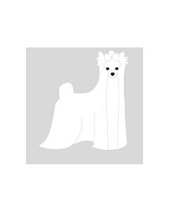 K-Design Yorkshire Terrier Sticker Rechts Wit 10 cm