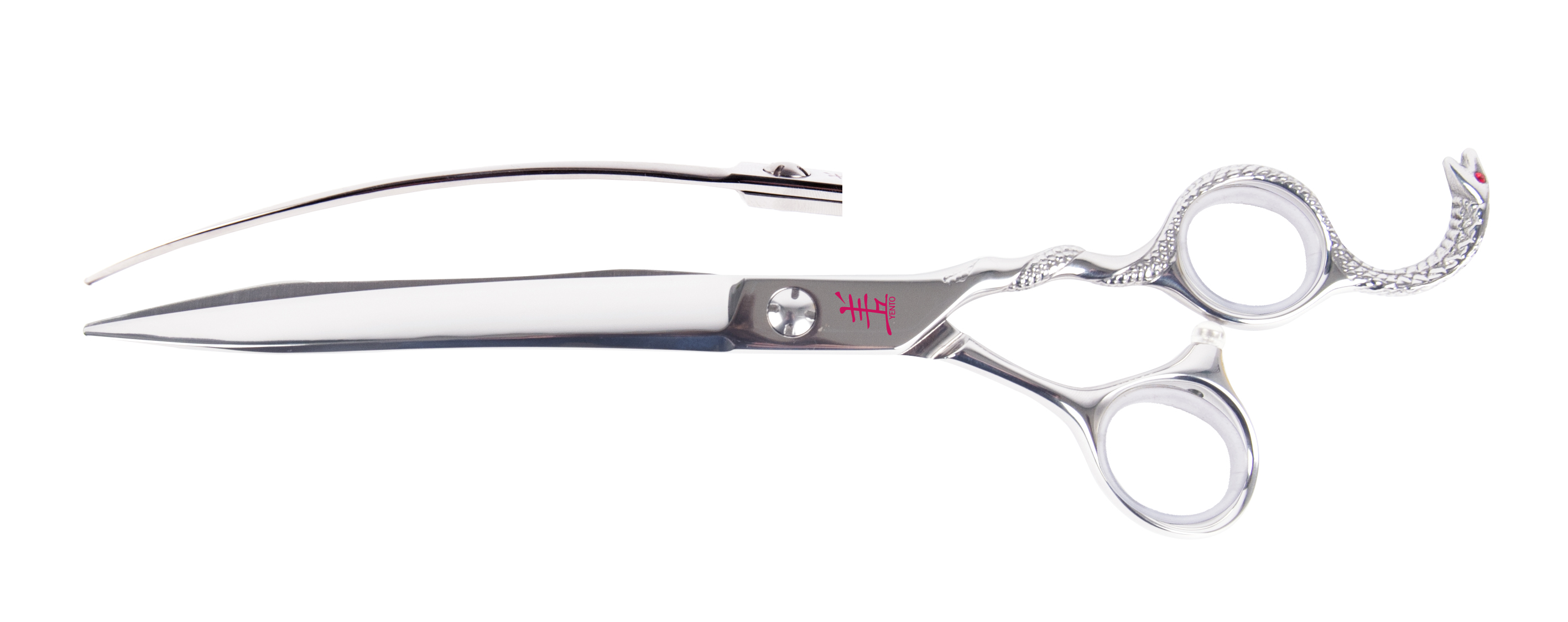 The different types of dog grooming scissors: straight scissors, curved  scissors, thinning scissors, blenders and chunkers - Transgroom - Pet Care  Professionals